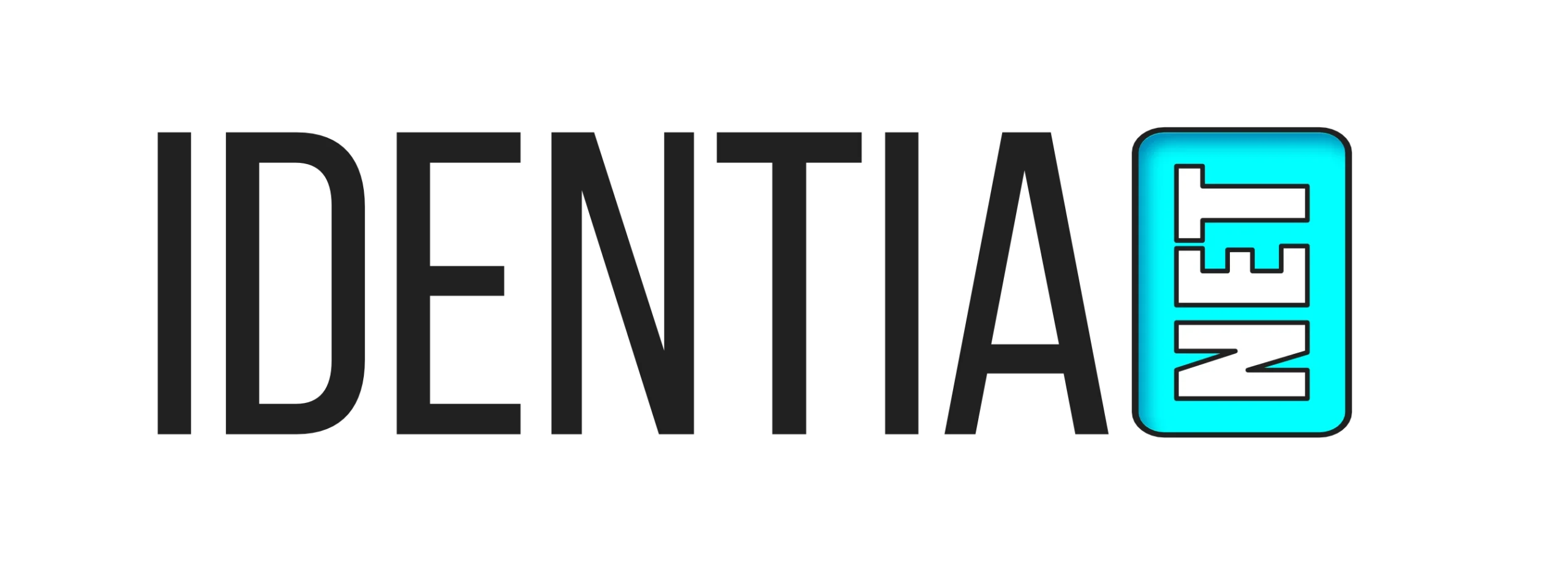 IdentiaNet Personalizamos tu MicroWeb